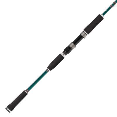 ABU Garcia Beast X Pike, 792H - 2,36m - 40-80g - 2tlg