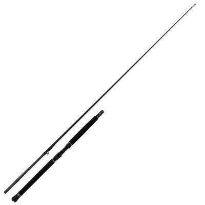 Penn Regiment III Inner Boat 701+1 - Meeresrute 2,13m - 30-50lbs - 1+1tlg - 300g