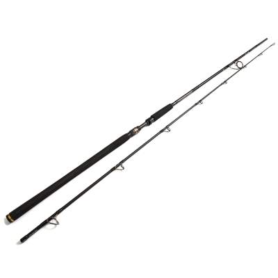 Westin W3 Powercast 2nd Spinnrute 248cm - 40-130g - 2tlg - 218g - XXH