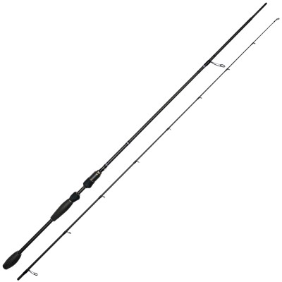 Westin W10 Finesse Shad 2,23m - 8-36g - 2tlg - 123g