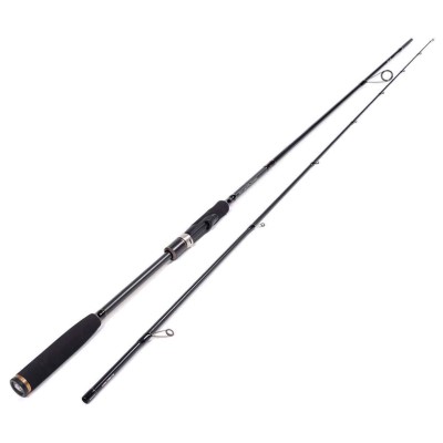 Westin W3 Seabass 2nd 2,5m - 12-42g - 2tlg - 200g