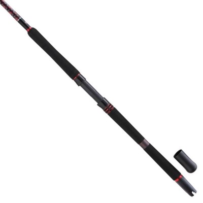 Penn Squadron III Travel Boat 214 12-20lb - Reise-Bootsrute 12-20lb