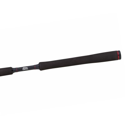 ABU Garcia BEAST Deadbait Rod - Deadbaitrute 3,04m - 40-140g - EH