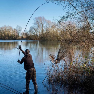 Fox EOS - X - Karpfenrute 12ft - 3lb - Full Shrink - 1 Stück