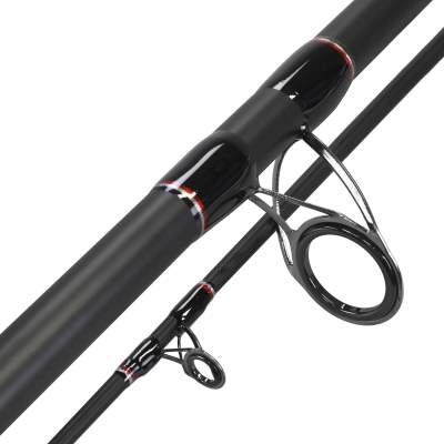 Nevis Patriot Catfish Wallerrute 2,70m 100-300g