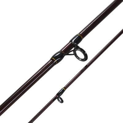 Nevis Ryder Baitcast 21M 2,10m 10-40g