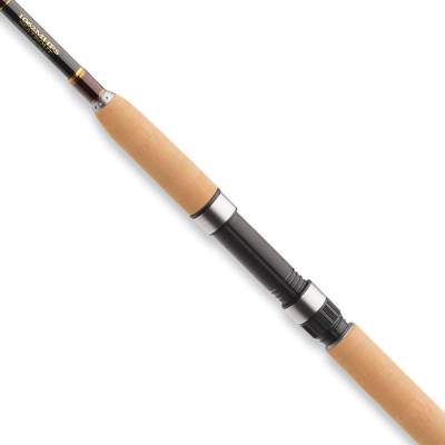 Daiwa Exceler Meerforellenrute 3,15m - 15-45g - 2tlg - 185g