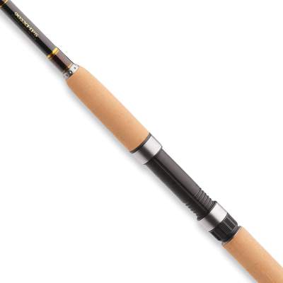 Daiwa Exceler Spinnrute 270 100, 2,7m - 50-100g - 2tlg - 210g