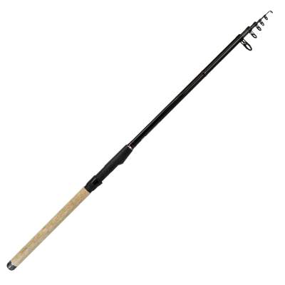 Mikado Rival Super Float Posenrute 4,00m - WG 20-40g - 255g - 6 teilig