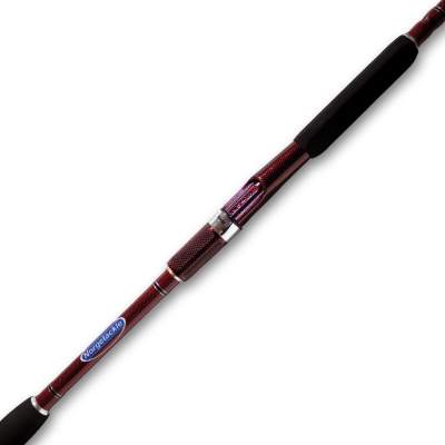 Norgetackle Offshore Spin 2,43m - 100-200g - 2tlg - 359g
