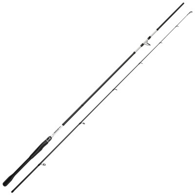 Pro Tackle PTG Spin Hecht - Spinnrute 2.70m - 40-90g - XH