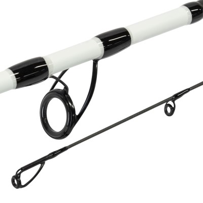 Pro Tackle PTG Spin Hecht - Spinnrute 2.70m - 40-90g - XH