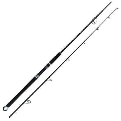 SPRO Salty Beast Nord - Jig Fast 210 - Meeresrute 2,1m - 0-400g - 2tlg - 274g