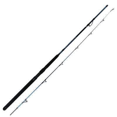 SPRO Salty Beast Solidz 2,10m 100g - Pilkrute 2,1m - 0-100g - 2tlg - 196g