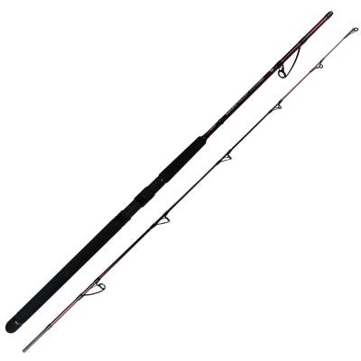 SPRO Salty Beast Solidz 2,40m 250g 2,4m - 0-250g - 2tlg - 293g