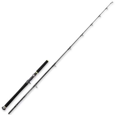 SPRO Salty Beast Mega Jig Bait 2,1m - 0-400g - 1tlg - 320g