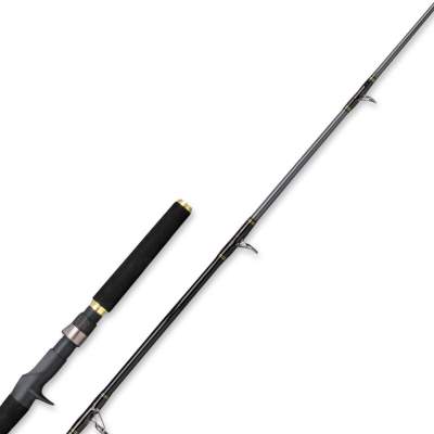 SPRO Salty Beast Mega Jig Bait 2,1m - 0-400g - 1tlg - 320g