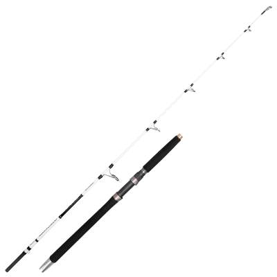 SPRO Salty Beast Nano Halibut Spin 1,80m, 1,8m - 0-300g - 1+1tlg - 256g