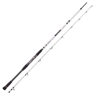 SPRO Salty Beast Nano Heavy Jig Bait 2.40m 100- 250g 2,4m - 100-250g - 2tlg - 295g