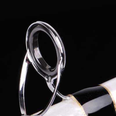 SPRO Salty Beast Nano Heavy Jig Bait 2.40m 100- 250g 2,4m - 100-250g - 2tlg - 295g