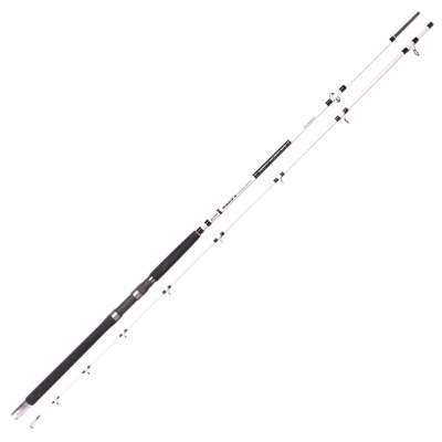 SPRO Salty Beast Nano Technology Heavy Jig Spin 2,70m 2,7m - 100-250g - 2tlg - 340g