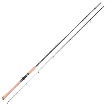 Gamakatsu Altemiss Wild Monster 90MH 2,70m - 30-80g - 2tlg - 195g
