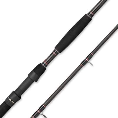 SPRO Monster Cat 300 3m - 80-300g - 2tlg - 544g