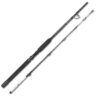 Spro Norway Expedition Norway Expedition Natural Bait 50 1,95m - 300-800g - 50-50lbs - 2tlg - 491g