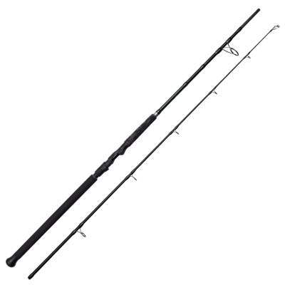 MADCAT Black Spin, 2,70m - 40-150g - 2tlg - 350g