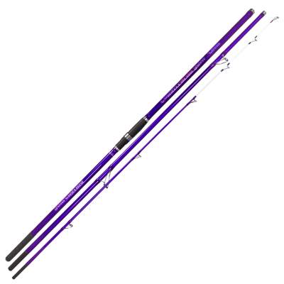 Team Deep Sea Coastlegend Surf, 420cm - 80-200g - 3tlg - 654g