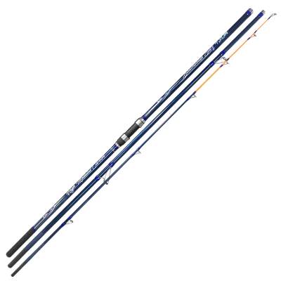 Team Deep Sea Beachbeast Surf, 420cm - 100-250g - 3tlg - 622g