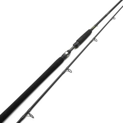 Westin W3 Powercast 10'3 XXH Spinning Big Bait Rute 3,12m - 40-130g - 2tlg - 261g