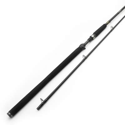 Westin W3 Powercast-T 8'3 XXH Trigger Big Bait Rute 2,51m - 40-130g - 2tlg -211g