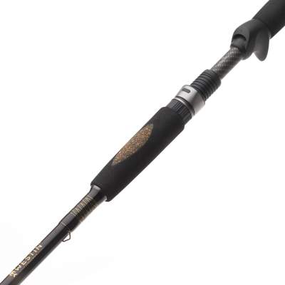 Westin W3 Powercast-T 8'3 XXH Trigger Big Bait Rute 2,51m - 40-130g - 2tlg -211g