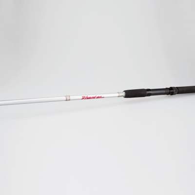 X2 Panther Spin 2,40m - 10-30g - 2tlg