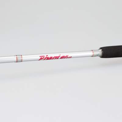 X2 Panther Spin 2,40m - 10-30g - 2tlg