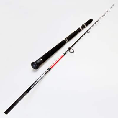 Pezon & Michel Oceaner Hard Jig 190 Meeresrute 1,9m - 80-300g - 2tlg - 218g