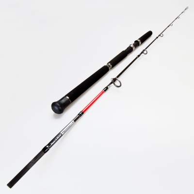 Pezon & Michel Oceaner Hard Jig 190 Meeresrute, 1,9m - 80-300g - 2tlg - 218g