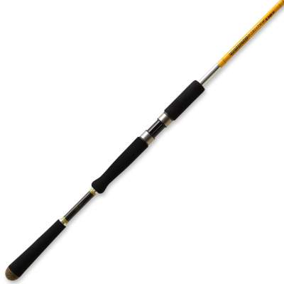 Illex Ashura Element Rider S-240 2,4m - 10-60g - 1tlg - 133g