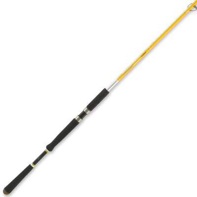 Illex Ashura Element Rider S-270 H 2,7m - 10-60g - 2tlg - 149g