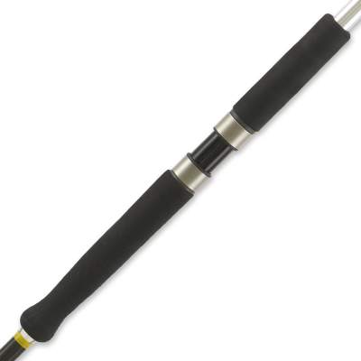 Illex Ashura Element Rider S-270 H 2,7m - 10-60g - 2tlg - 149g