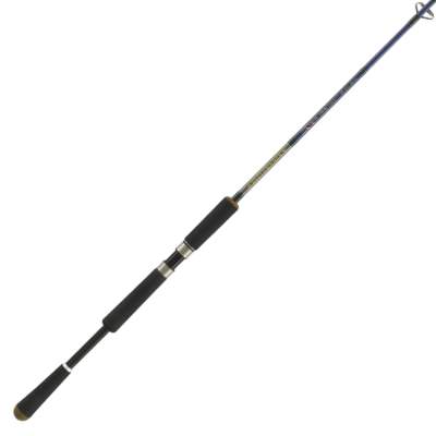 Illex Ashura Delivrance S 220 XH Big Bait Special 2,20m - 14-100g - 2tlg - 199g
