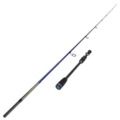 Illex Ashura Delivrance S 210 M V2 Water Front Versatile 2,1m - 3,5-14g - 1+1tlg - 126g