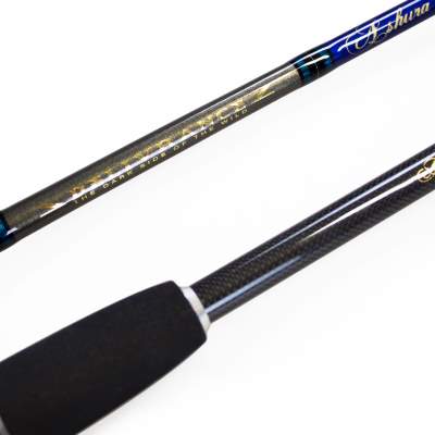 Illex Ashura Delivrance S 210 M V2 Water Front Versatile 2,1m - 3,5-14g - 1+1tlg - 126g