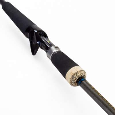 Illex Ashura Delivrance B 1903 H V2 Monster Jerk Special 1,9m - 20-100g - 3tlg - 167g