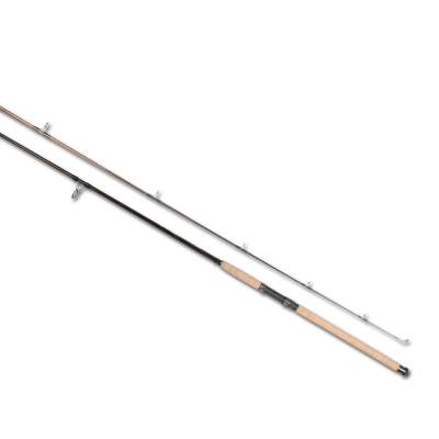 Firestorm Spin 2,8m - 40-80g - 2tlg - 290g