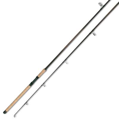 Roy Fishers Adrenalin-X Catfish, 3,3m - 80-300g - 2tlg - 510g