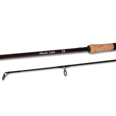 Roy Fishers Adrenalin-X Catfish, 3,3m - 80-300g - 2tlg - 510g