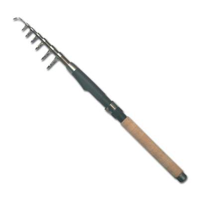 Firestorm Tele Travel 270 2,7m - 30-60g - 9tlg - 215g