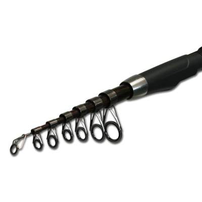 Firestorm Tele Travel 300 3m - 40-80g - 10tlg - 240g